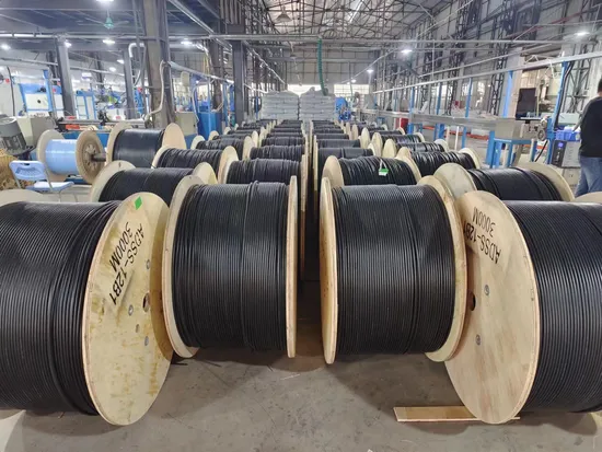 Cavo in fibra ottica monomodale GYFTY FRP G652D a 2, 4, 6, 12 e 24 core per telecomunicazioni sotterranee Multimoodfiber della fabbrica Feiboer