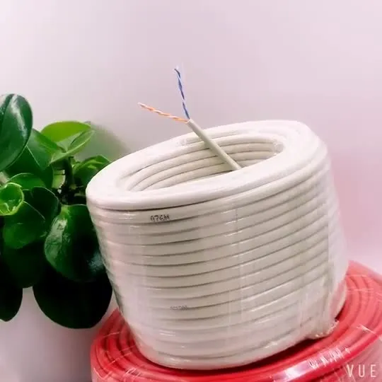 Cavo per telecomunicazioni Cat3 EXW di alta qualità da 25 coppie